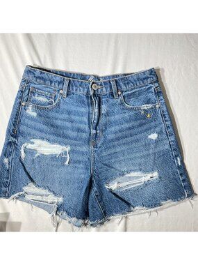 Distressed Embroidered Denim Shorts Wit Floral Accents Frayed Hem High W size 10